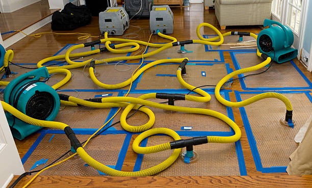 Professional Sewage Cleanup technician working in Etowah, NC